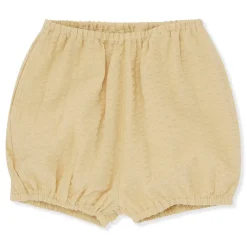 Ace Bloomer | Reed Yellow