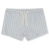 Aster Uni Swim Shorts with UPV 50+ | Sailor Stripe