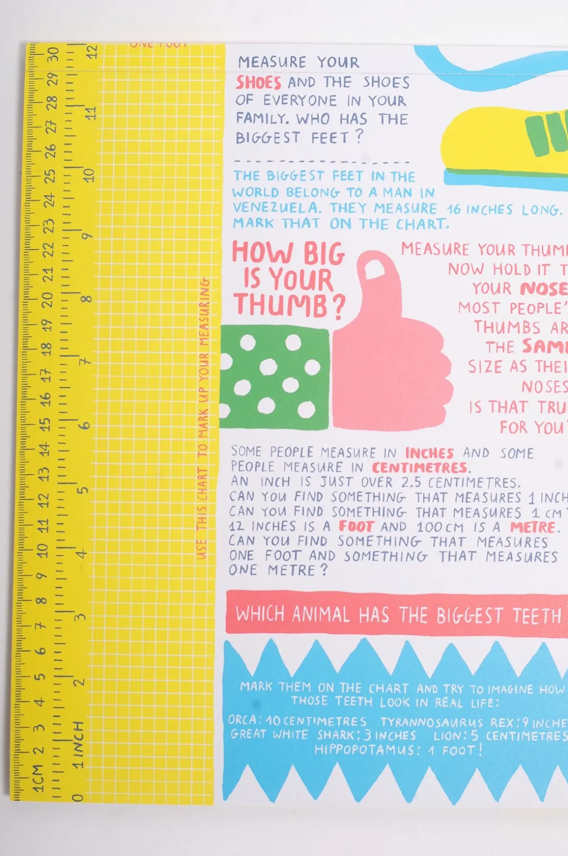 Bigger - A Foldout Measuring Activity Book