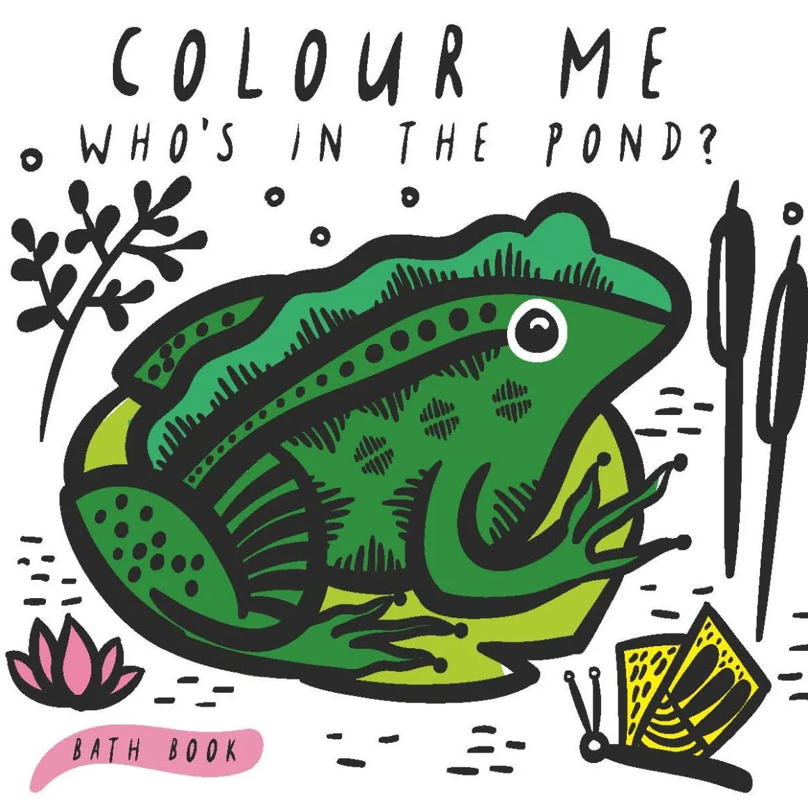 Colour Me: Who's in the Pond?