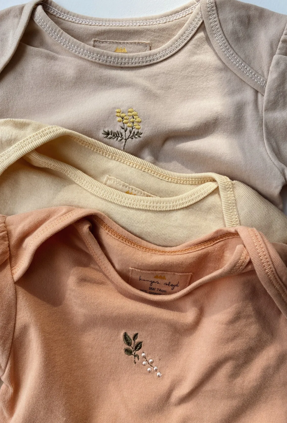 CUE 3 Pack Embroidery Bodysuit | Peach, Moonlight & Mandarin
