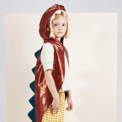 Dinosaur Costume