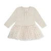 Fairy Ballerina Dress