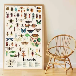 Giant Activity Sticker Poster - Insect with 44 Removable Stickers by Poppik