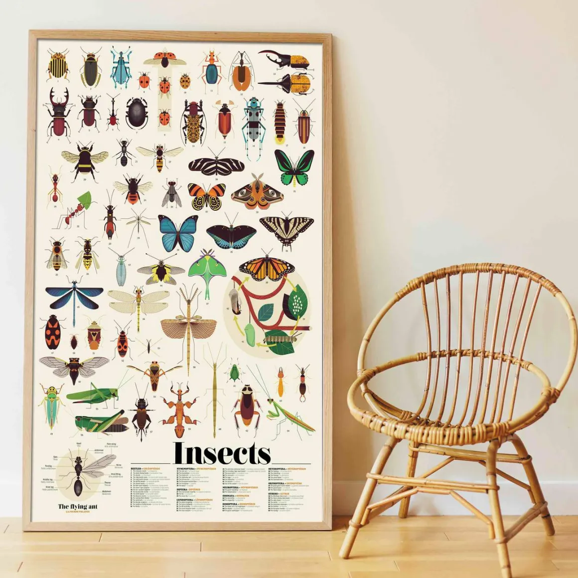 Giant Activity Sticker Poster - Insect with 44 Removable Stickers by Poppik