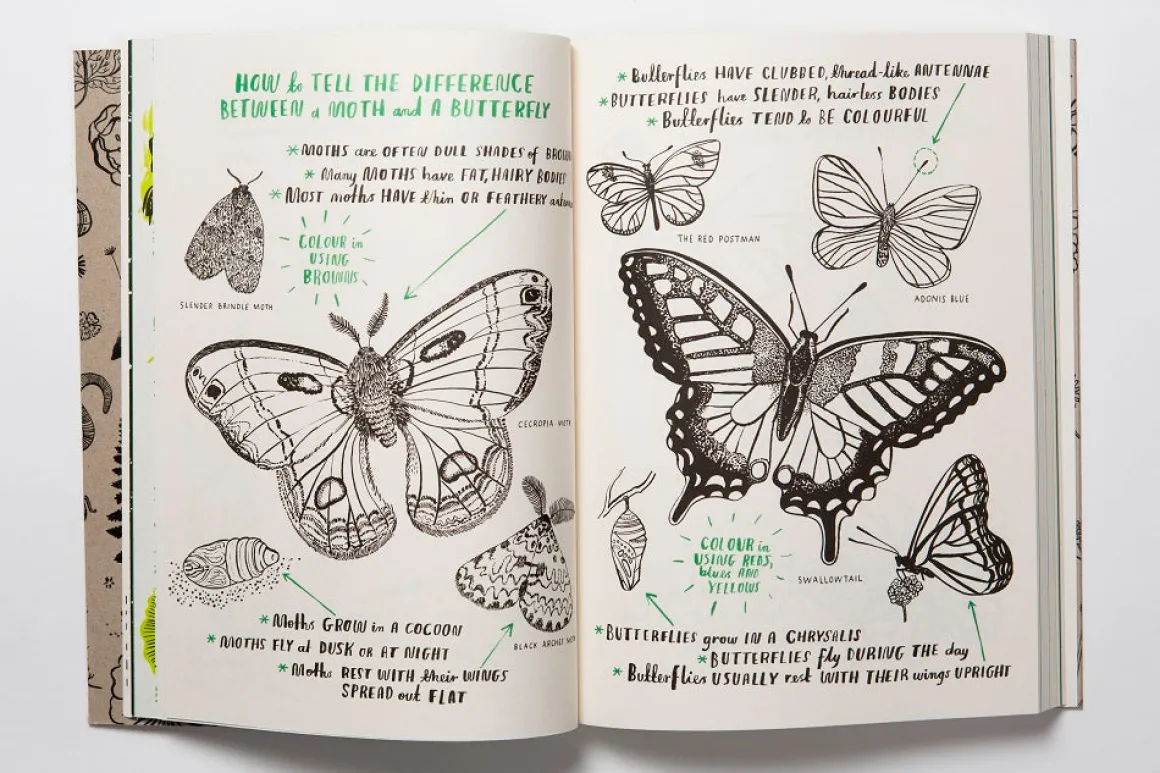 Hello Nature | Draw, Colour, Make and Grow
