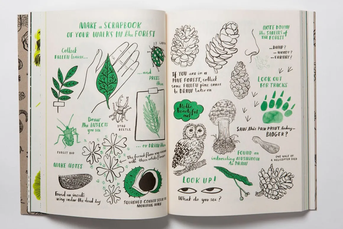 Hello Nature | Draw, Colour, Make and Grow