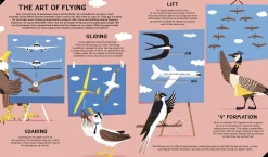 Invented by Animals | Meet the creatures who inspired our everyday technology