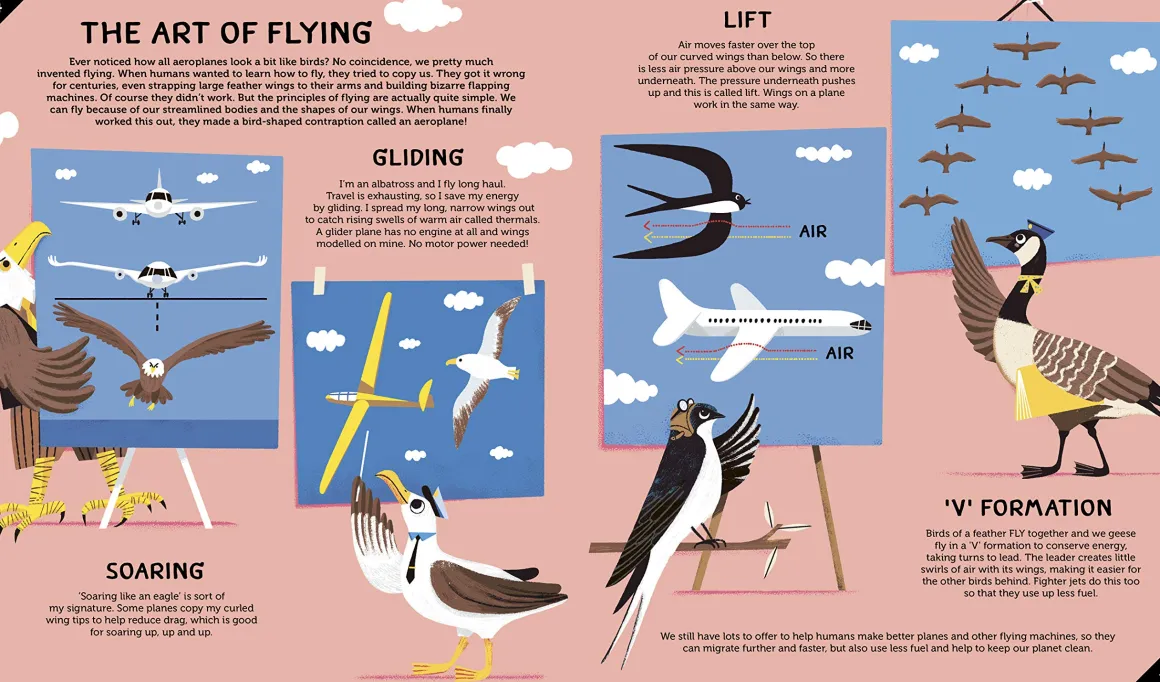 Invented by Animals | Meet the creatures who inspired our everyday technology