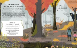 Let's Save Our Planet: Forests | Uncover the Facts. Be Inspired. Make A Difference