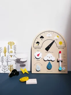 Moon Picnic My Weather Station