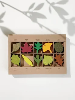 Moon Picnic Woodland Leaves Set