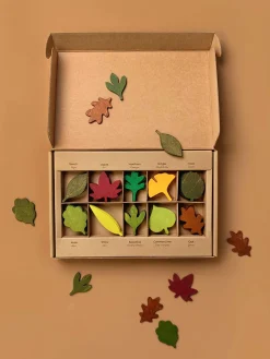 Moon Picnic Woodland Leaves Set
