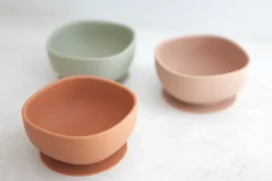 Silicone Suction Bowl | Oyster