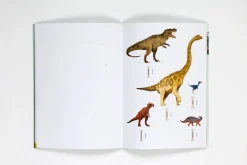 Terrific Timelines: Dinosaurs | Press out, put together and display!