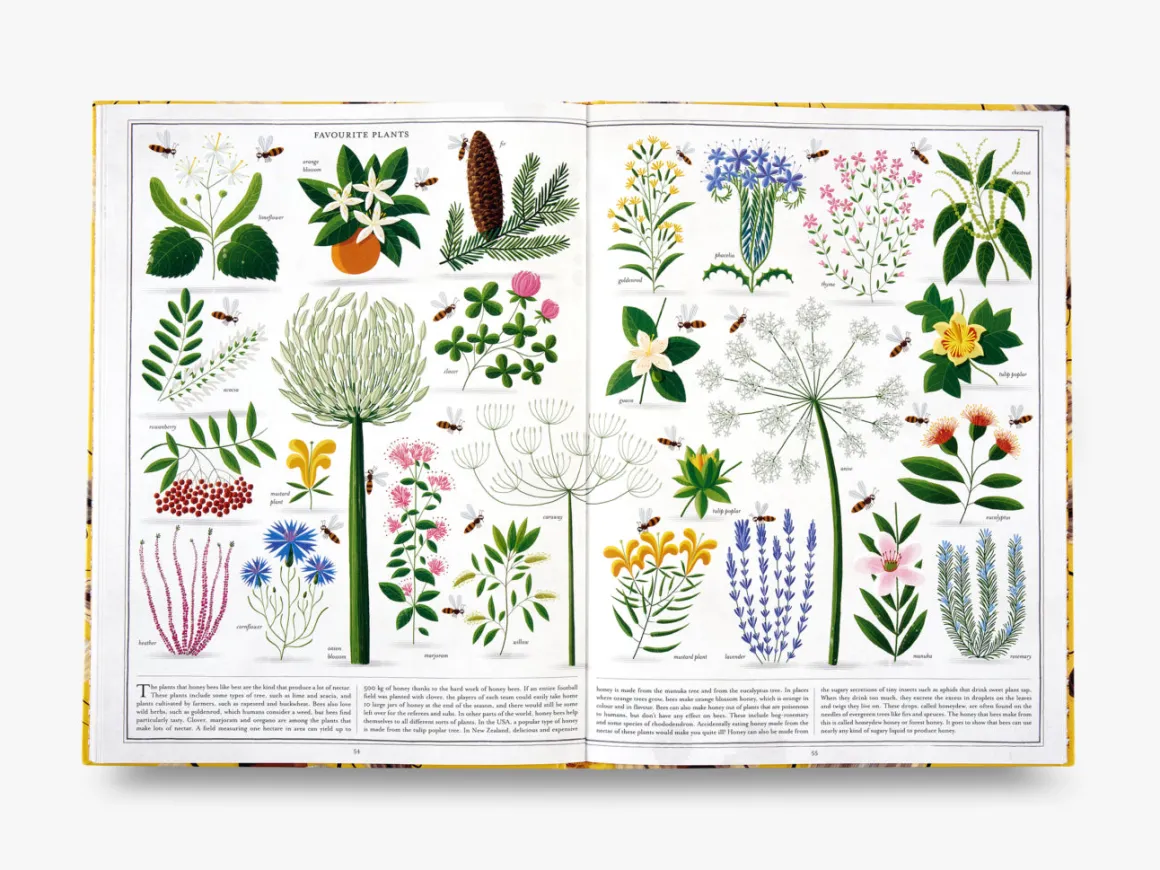 The Book of Bees