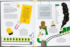 The Element in the Room - Investigating the Atomic Ingredients that Make Up Your Home