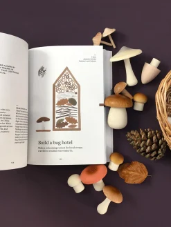The Nature of Play Book