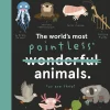 The World's Most Pointless Animals | Or are they?