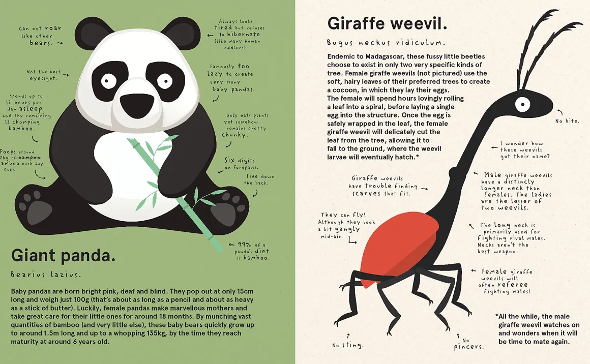 The World's Most Pointless Animals | Or are they?