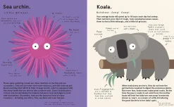 The World's Most Pointless Animals | Or are they?