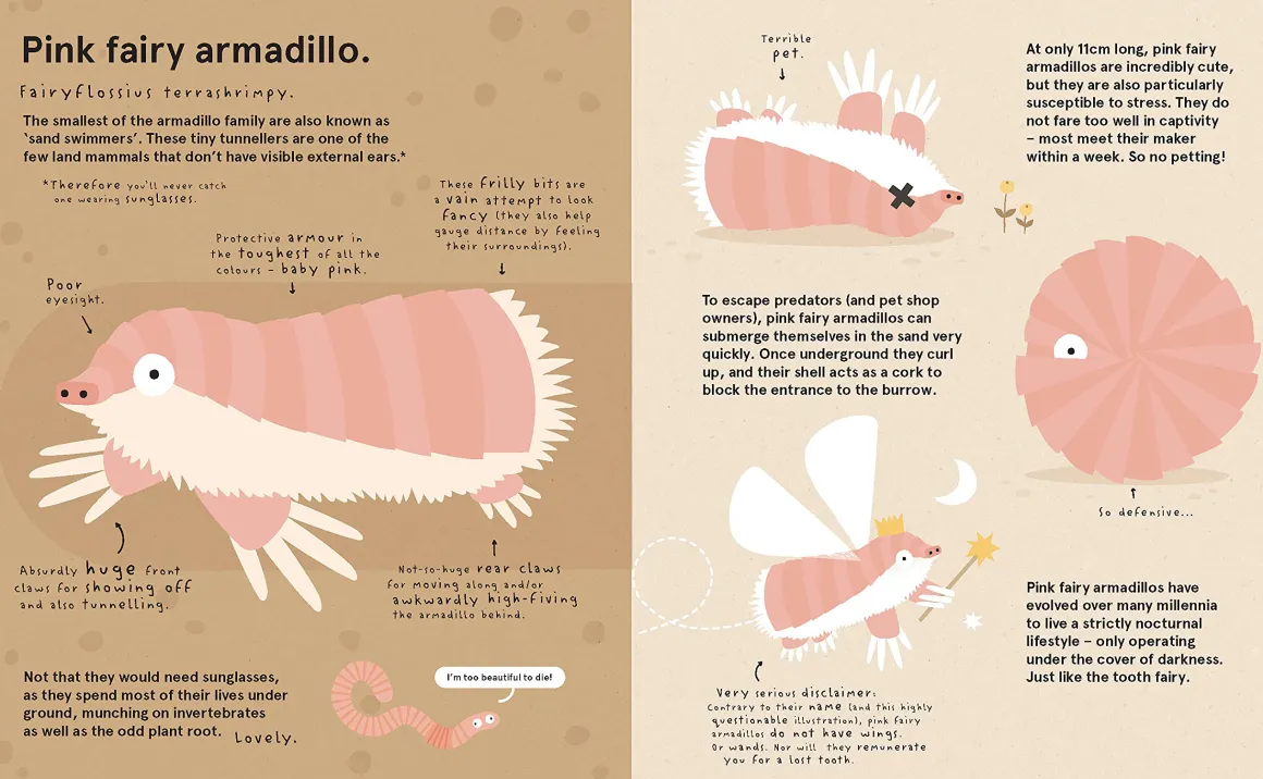 The World's Most Pointless Animals | Or are they?