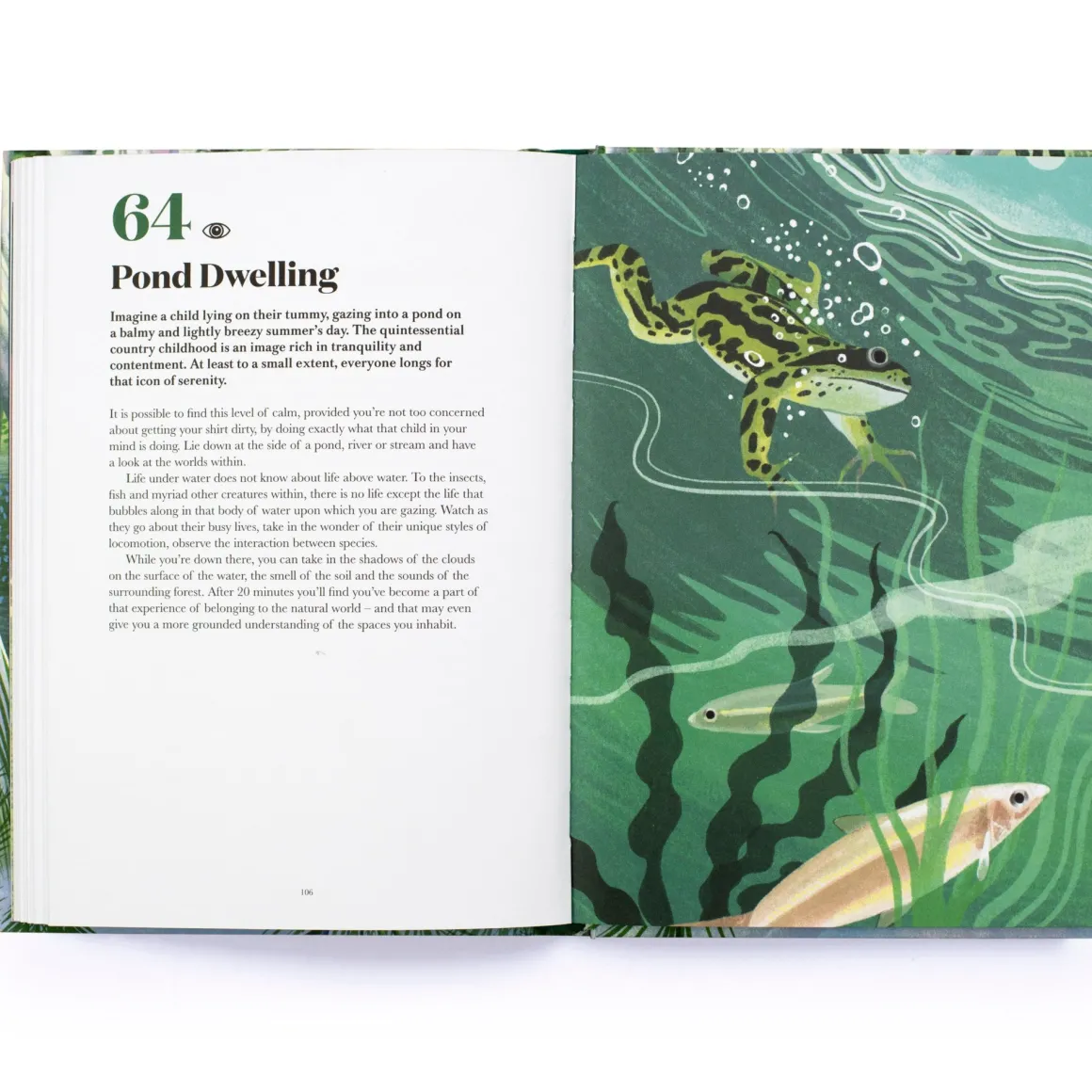 100 Things to do in a Forest