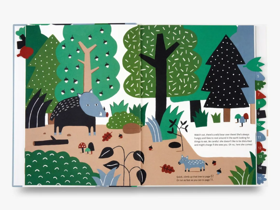 Through the Forest Book