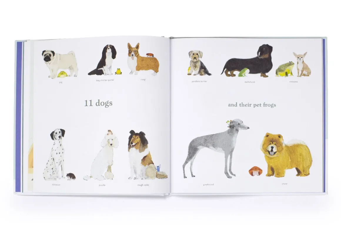 1 to 20 Animals Aplenty