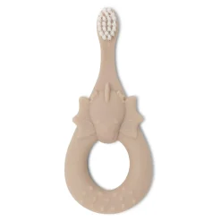 Toothbrush | Shell