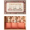 Triplets Baby Mice in Matchbox