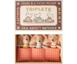 Triplets Baby Mice in Matchbox