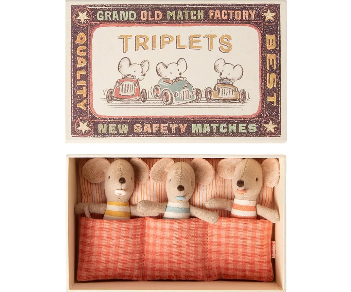 Triplets Baby Mice in Matchbox