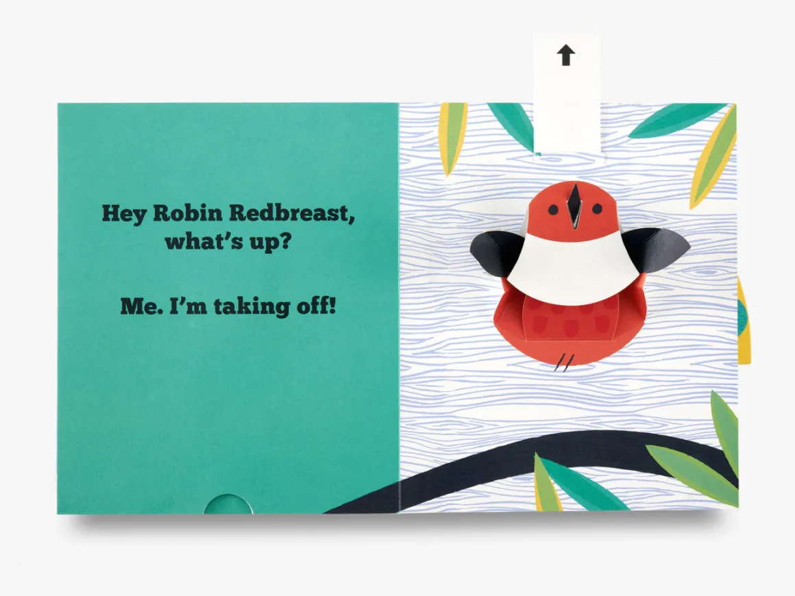 What's Up? (A Flip Flap Pop Up Book)