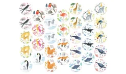 Wildlife Memo Game
