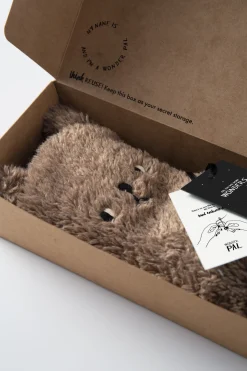 WONDER PALS Bear 2 in 1 - Chocolito