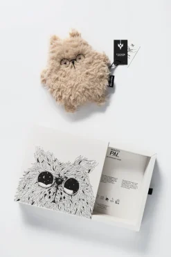WONDER PALS Bear 2 in 1 - Hunny Brains